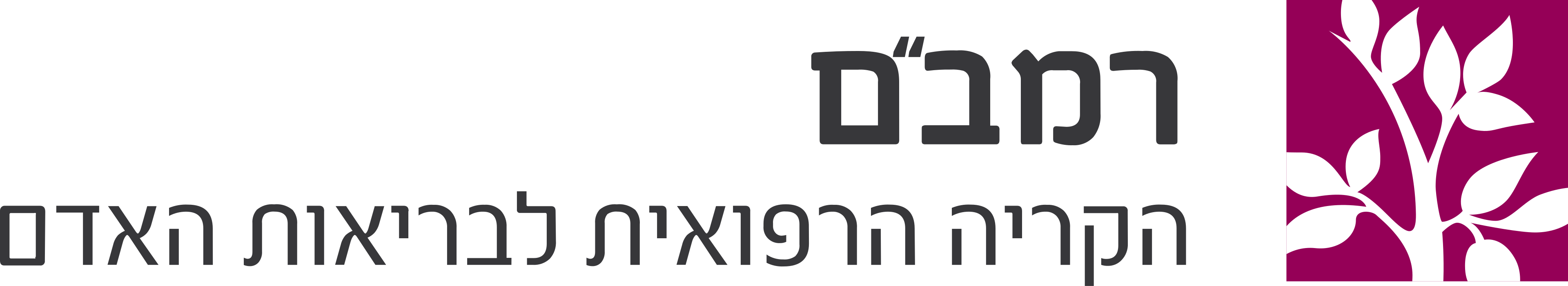 לוגו רמב"ם